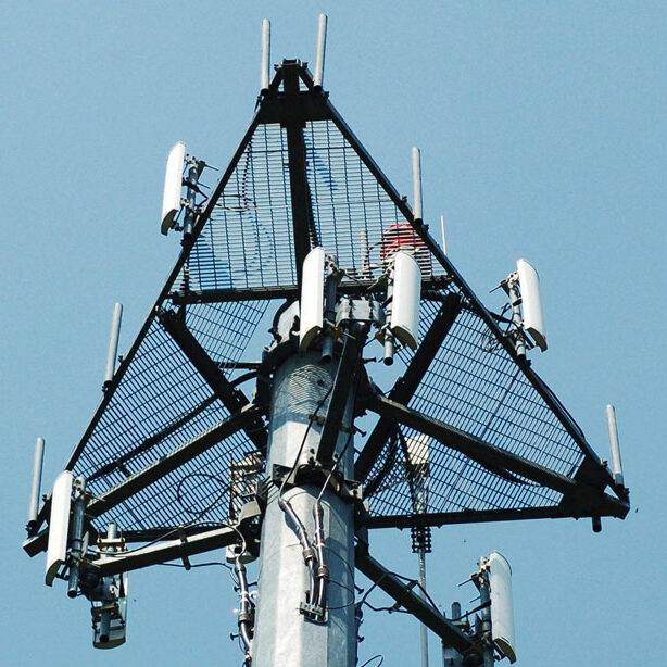 Degler Enterprise, Cell tower image